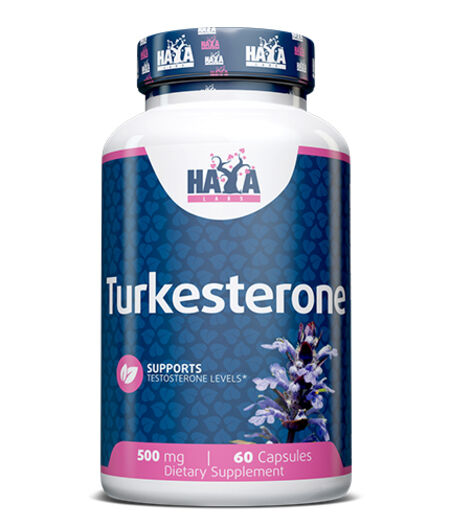 HAYA LABS TURKESTERONE / 60 CAPS