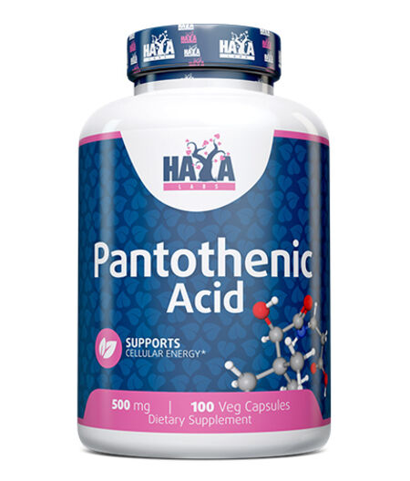 HAYA LABS PANTOTHENIC ACID 500 MG / 100 VCAPS