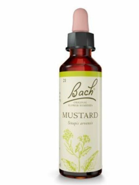 MUSTARD (ПОЛСКИ СИНАП)- Цветето на светлината