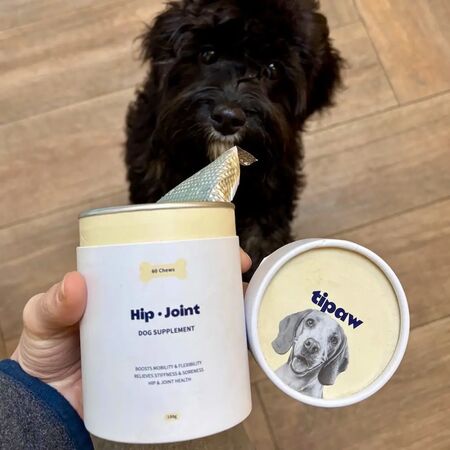 Tipaw Hip + Joint